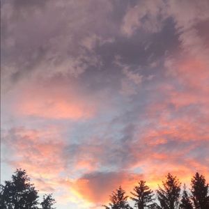 Meet your Posher, Elias